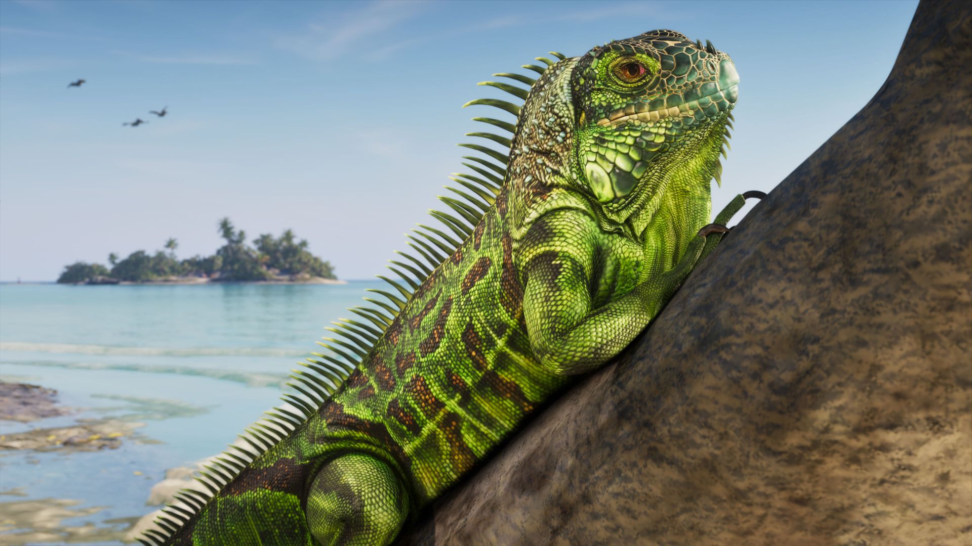 Ein grüner Leguan sonnt sich auf einem Felsen über einer kleinen Insel